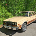 1982 Tan AMC Concord DL Station Wagon thumbnail