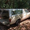 1981 Tan Volkswagen Rabbit thumbnail