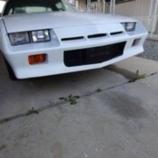 1984 White Chevrolet Camaro thumbnail