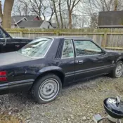 1984 Black Ford Mustang thumbnail