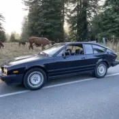 1986 Black Alfa Romeo GTV thumbnail