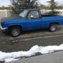 1987 Blue Chevrolet C-10 thumbnail