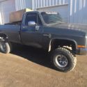 1987 Gray Chevrolet C/K Pickup 1500 thumbnail
