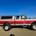 1994 Gray Ford F-150 thumbnail