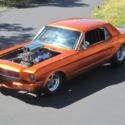 1966 ORANGE GLO CANDY Ford Mustang thumbnail
