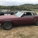 1969 royal maroon Ford Mustang thumbnail