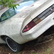 1979 White Chevrolet Camaro thumbnail