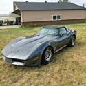 1981 Gray Chevrolet Corvette thumbnail