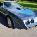 1981 Blue metal flake metallic Pontiac Trans Am thumbnail