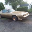 1981 Gold Pontiac Trans Am thumbnail