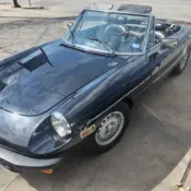 1981 Black Alfa Romeo Spider thumbnail