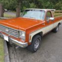 1976 Grecian Bronze Chevrolet Other Pickups thumbnail