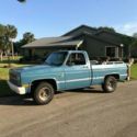 1981 Blue Chevrolet C-10 thumbnail
