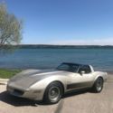1982 Silver Beige Chevrolet Corvette thumbnail