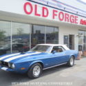 1973 Other Ford Mustang thumbnail