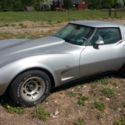 1979 Silver Chevrolet Corvette thumbnail