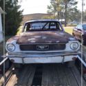 1966  Ford Mustang thumbnail