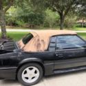 1988 Black Ford Mustang thumbnail