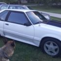 1988 White Ford Mustang thumbnail