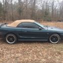 1994  Ford Mustang thumbnail