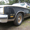 1979 Black Oldsmobile Cutlass thumbnail