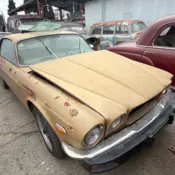 1975 Beige Jaguar  thumbnail