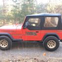 1989  Jeep Wrangler thumbnail