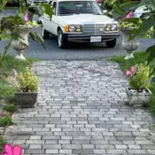 1981 Beige Mercedes-Benz Other thumbnail