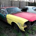 1965 red Ford Mustang thumbnail