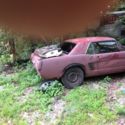 1966  Ford Mustang thumbnail