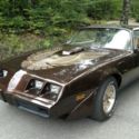 1981 Brown Pontiac Trans Am thumbnail