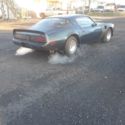 1979 Blue Pontiac Trans Am thumbnail