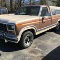 1981 Brown Ford F-150 thumbnail
