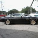 1979 Black Pontiac Firebird thumbnail