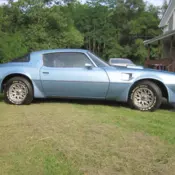 1981 Blue Pontiac Trans Am thumbnail