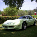 1981 Palm Beach Green Chevrolet Corvette thumbnail