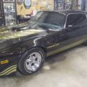 1981  Pontiac Trans Am thumbnail