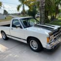 1994 White Chevrolet S-10 thumbnail