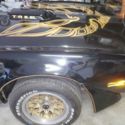 1979 Black Pontiac Trans Am thumbnail