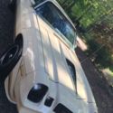 1979 Tan Chevrolet Camaro thumbnail